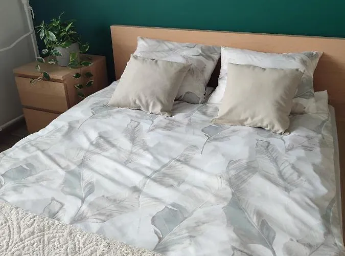 Chill شقة وودج