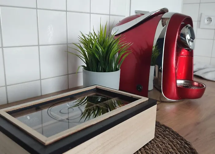 شقة Chill وودج